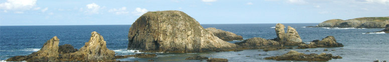Tapia de Casariego