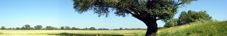 Tapia de Casariego