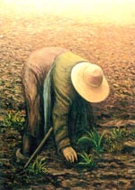 Obra de JOMAR, en el cuadro se muestra un paisaje una se�ora trabajando en el campo