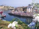 Fiesta de El Carmen