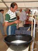 Feria Campomar