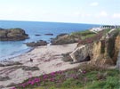 Ribeiria