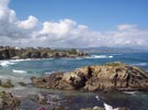 Playa