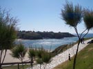 Paseo Playa