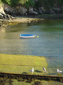 Puerto de Tapia de Casariego